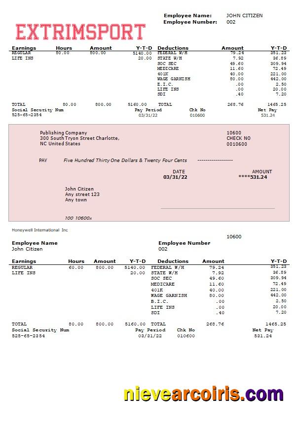extrim sport company fully editable earning statement